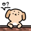 A neighboring dog 11