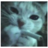 Kitty-ket 10