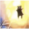 Kitty-ket 11