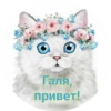 IndividStic by 14