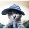 Kitty-ket 22