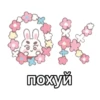 hello kitty 22