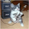Kitty-ket 26