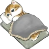 Kittens 25