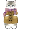Kittens 26
