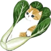Kittens 27