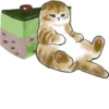 Kittens 29