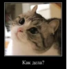 Komaru Expressions 30