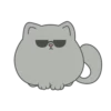 Kitty 6