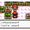 ...Waaaaaaah! You're mean!