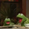 kermit the frog meme 5