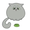Kitty 9