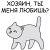 Its my CatsDay 5