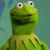 Kermit the frog 6