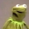 Kermit the frog 8