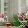kermit the frog meme 9