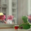 kermit the frog meme 10