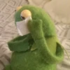 Kermit the frog 9