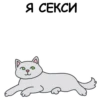 Its my CatsDay 7