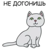 Its my CatsDay 10