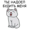 Its my CatsDay 11