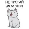 Its my CatsDay 12