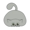 Kitty 12