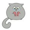 Kitty 13