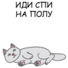 Its my CatsDay 13