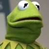 Kermit the frog 11
