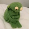 Kermit the frog 12