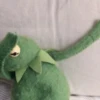 Kermit the frog 13