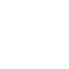 Ily by 5