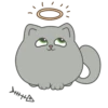 Kitty 14