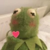 Kermit the frog 14