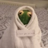 Kermit the frog 15