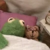 Kermit the frog 16