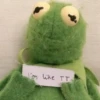 Kermit the frog 17