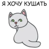 Its my CatsDay 14