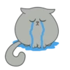 Kitty 18