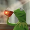 kermit the frog meme 14