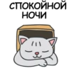 Its my CatsDay 17