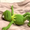kermit the frog meme 15