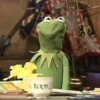Kermit the frog 18