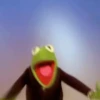 kermit the frog meme 16