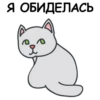 Its my CatsDay 18