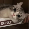 シャウエッ