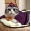 БYдни КомарY 21