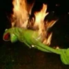 kermit the frog meme 17