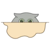 Kitty 20